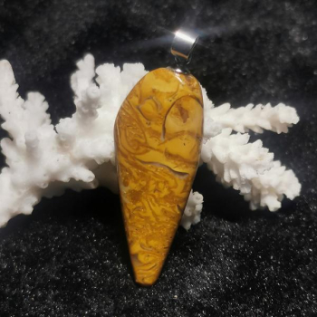Fossilien Jaspis Anhänger